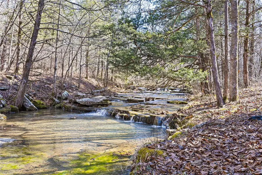 6228 Dabney Road, Jerusalem, AR 72080 - #3