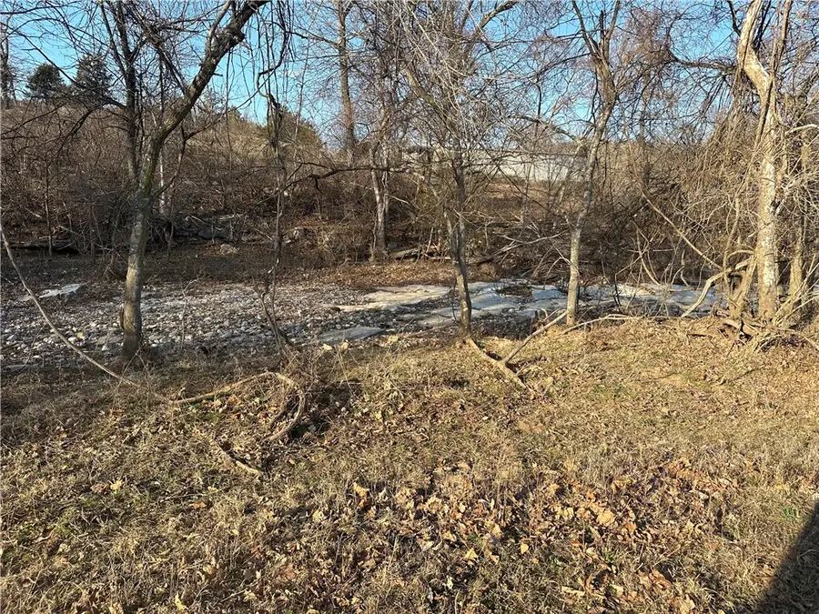 Williams Road, Harrison, AR 72601 - #3