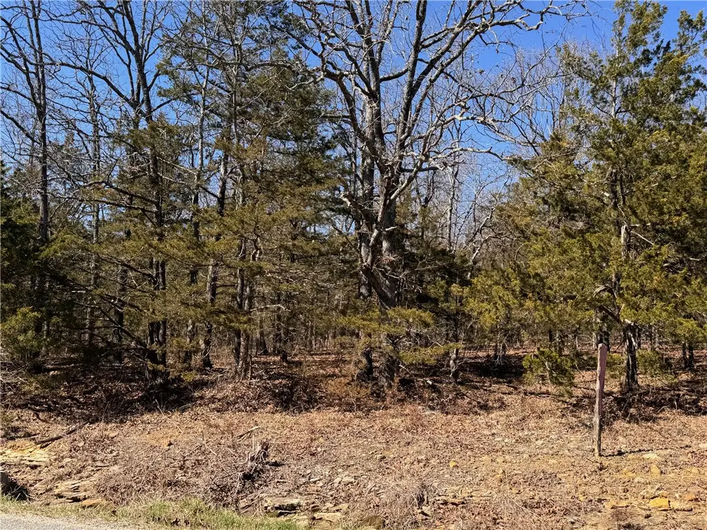 TBD #2 Dunkard Road, Harrison, AR 72601 - #1