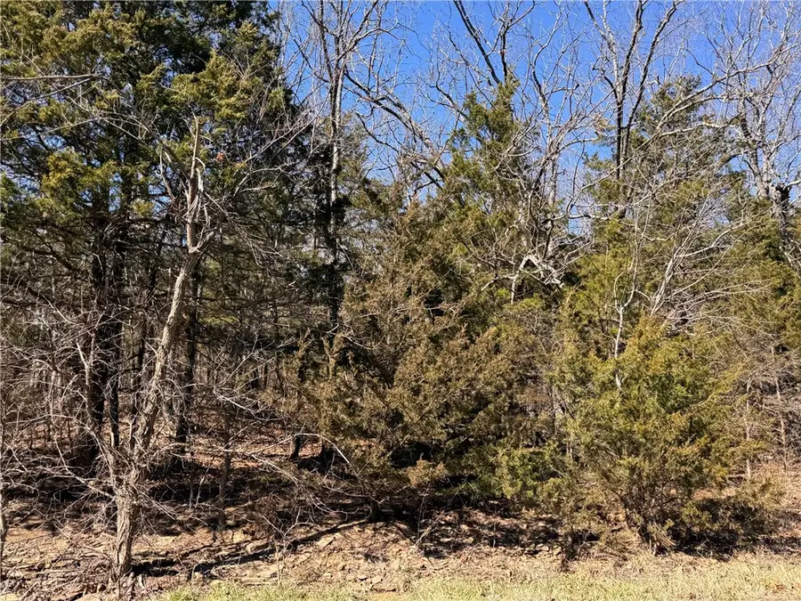 TBD #2 Dunkard Road, Harrison, AR 72601 - #3