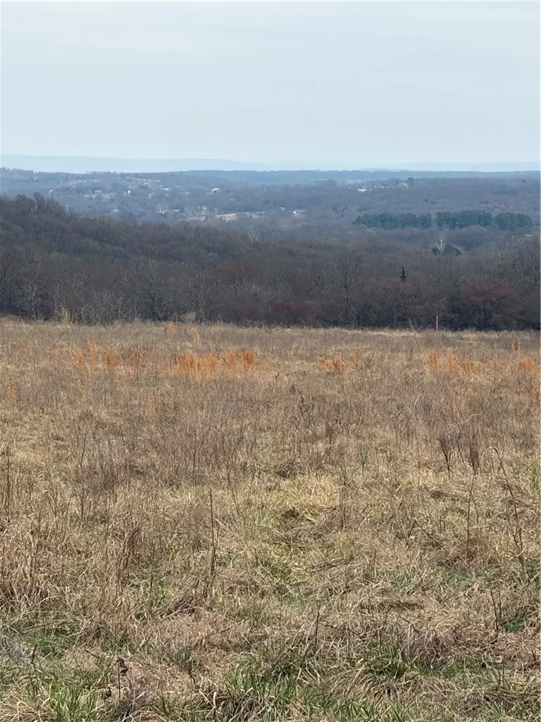 10176 Old Cincinnati Road, Lincoln, AR 72744 - #3