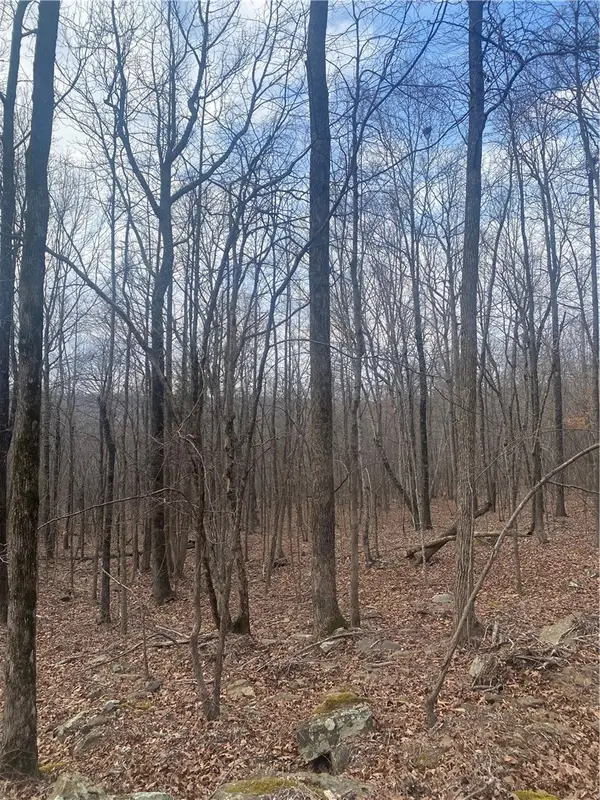 277 Madison 5295, Elkins, AR 72727