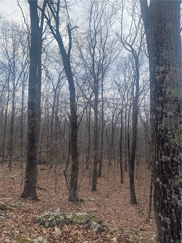 277 Madison 5295, Elkins, AR 72727 - #2