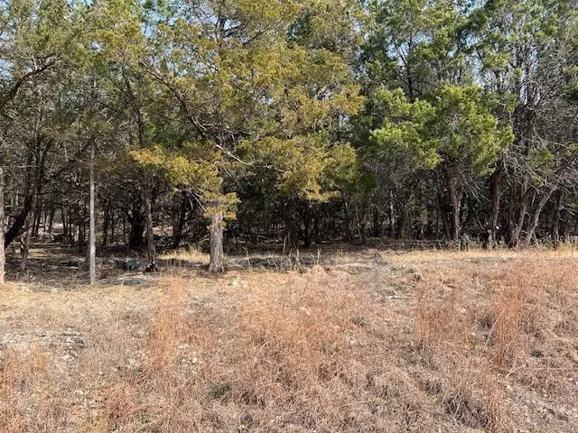 10 Thomas Circle, Holiday Island, AR 72631 - #3