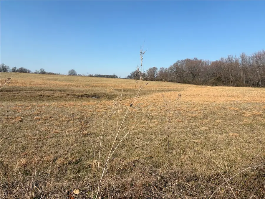 Curtis Road, Lincoln, AR 72744 - #2