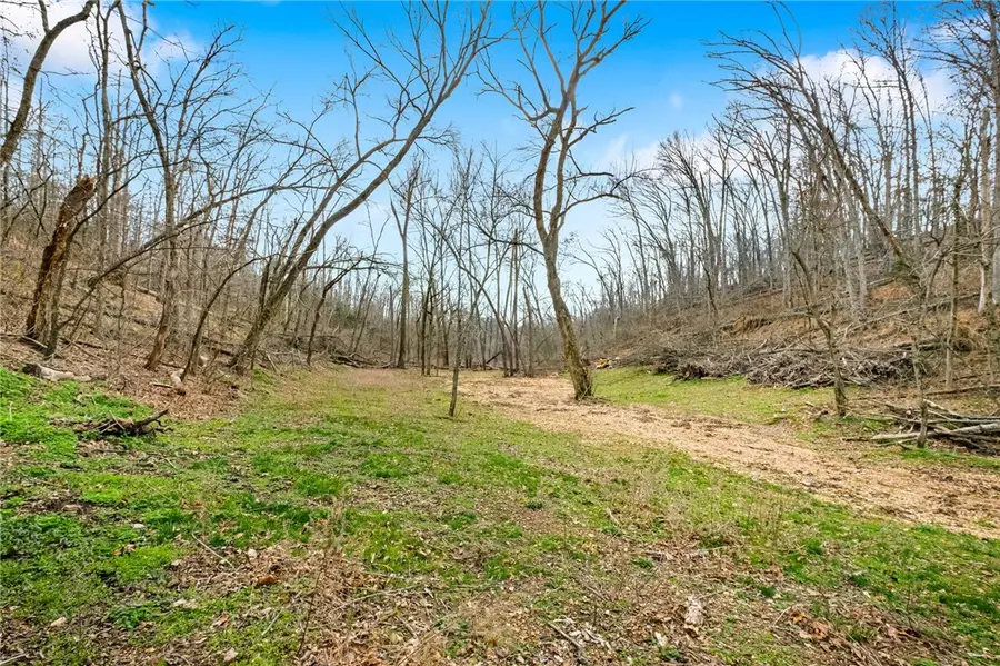 11499 (Tract 1) Sallie Drive, Rogers, AR 72756 - #3
