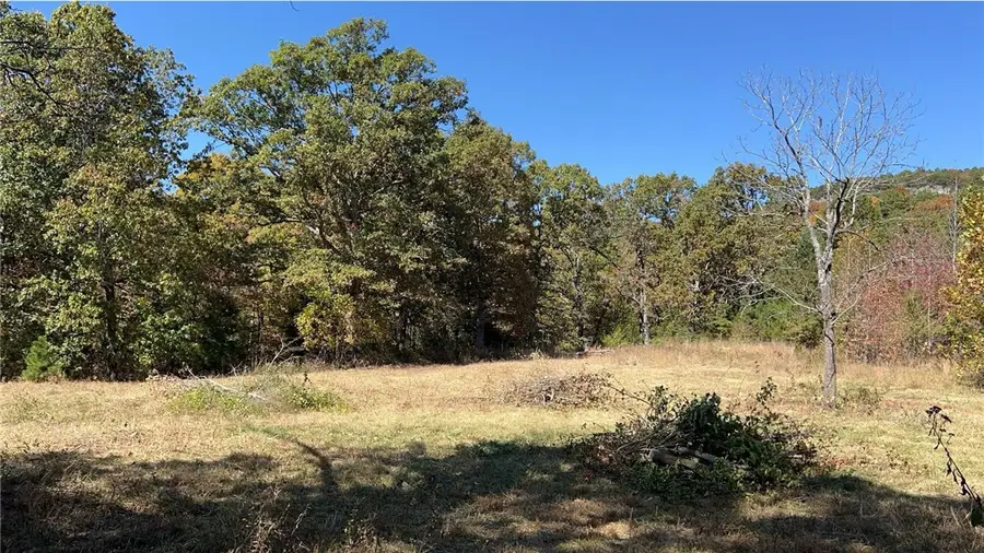 Terrapin Road, Harrison, AR 72601 - #2