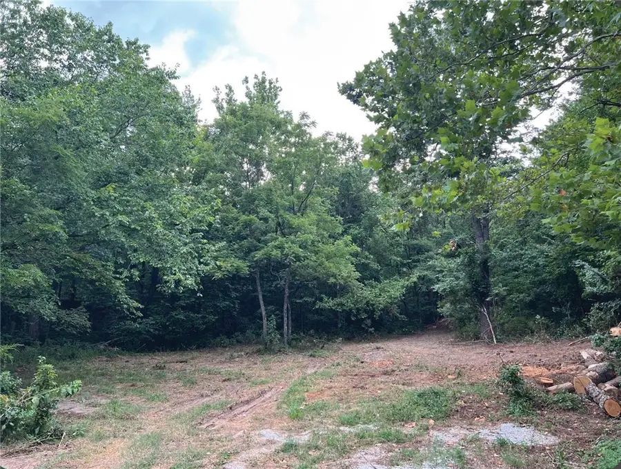 Terrapin Road, Harrison, AR 72601 - #3