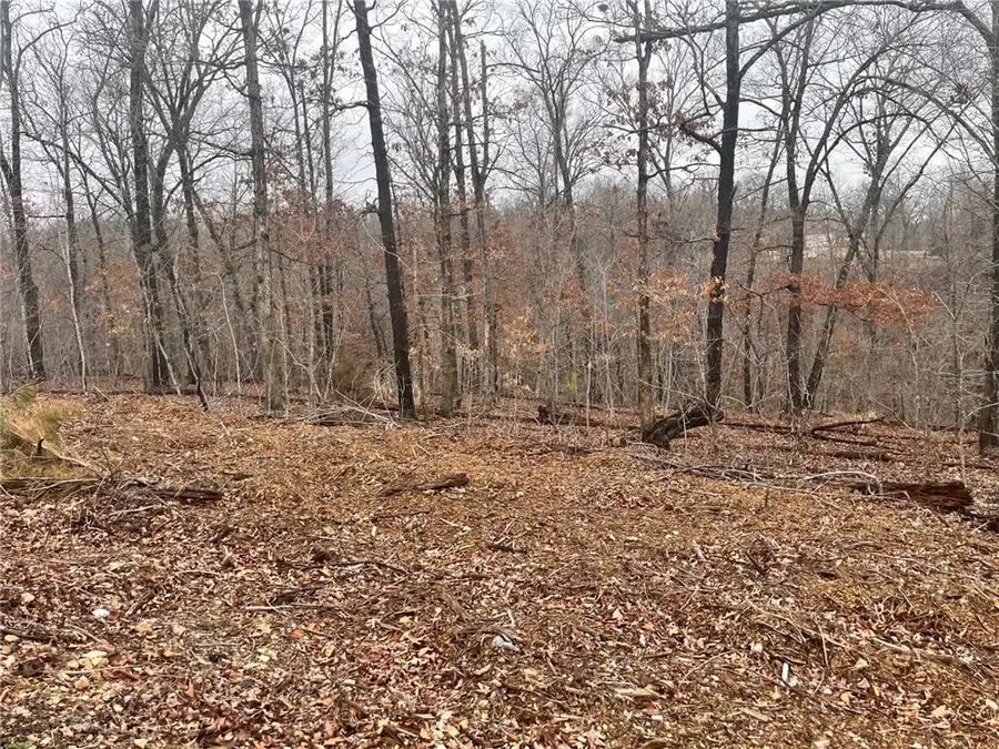 Lasswade Circle, Bella Vista, AR 72712 - #2