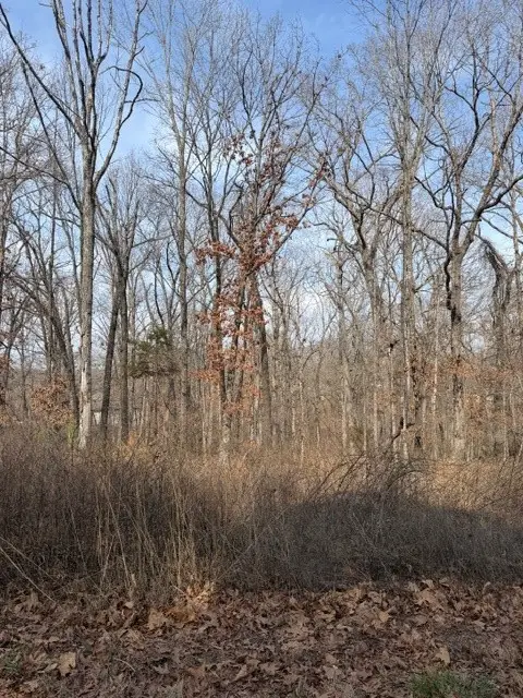 Carronbridge Lane, Bella Vista, AR 72715 - #2