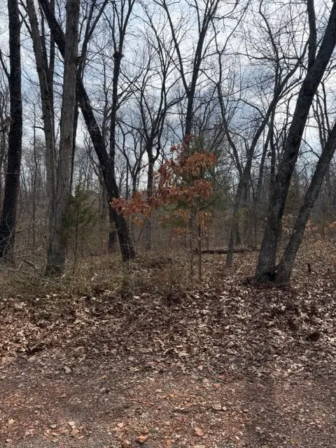 Bankfoot Lane, Bella Vista, AR 72715 - #3