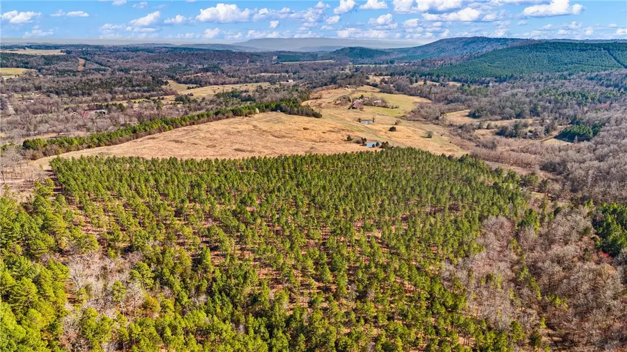 Cloud Mountain, Dover, AR 72837 - #3