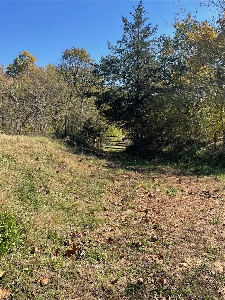 TBD Highway 103, Green Forest, AR 72638 - #3