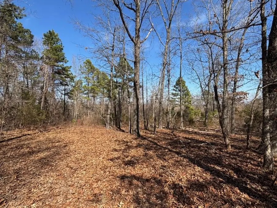 Oakland Road, Saint Joe, AR 72675 - #2