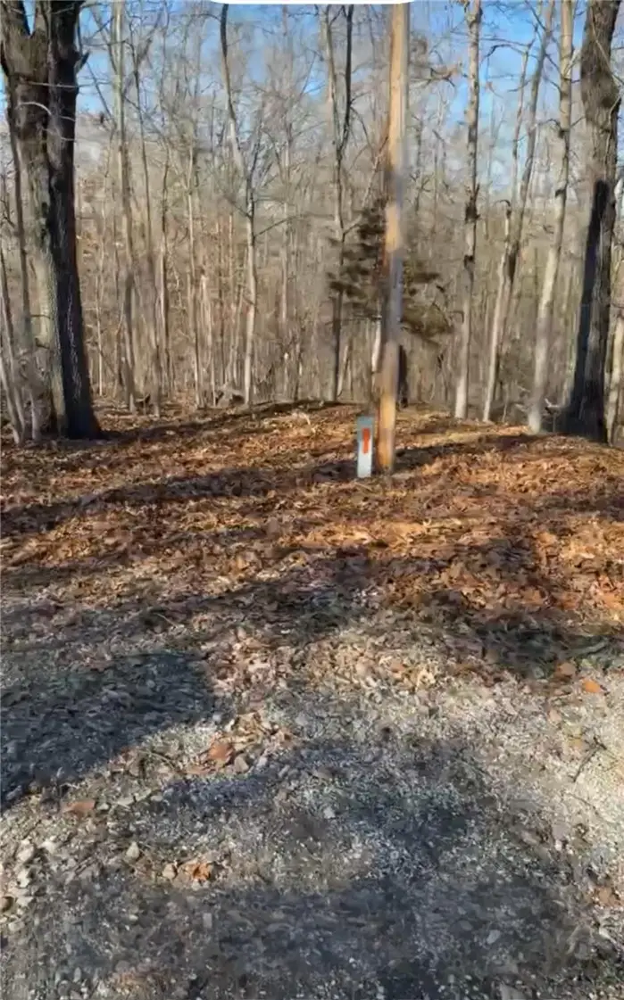 Lot 6/Block 2 Marlin Lane #Lot 6, Bella Vista, AR 72715 - #3