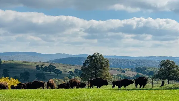 Address Withheld By Seller, Kingston, AR 72742