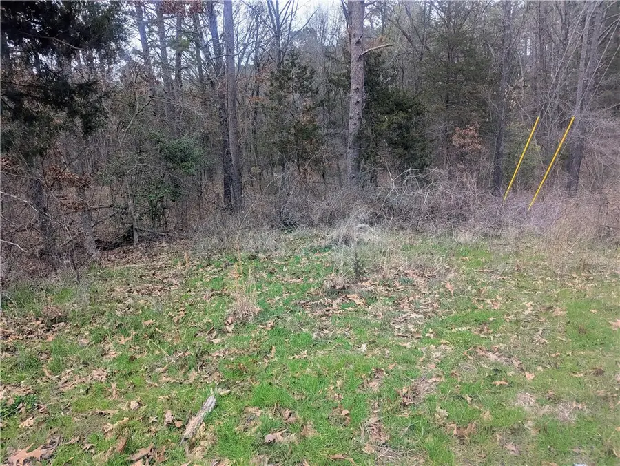 Bassingham Drive, Bella Vista, AR 72715 - #3