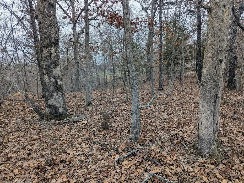 Littrell Drive, Bella Vista, AR 72714 - #1