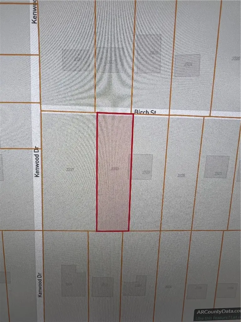 2333 Birch Street, Blytheville, AR 72315 - #2