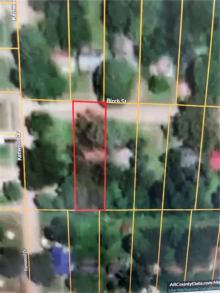 2333 Birch Street, Blytheville, AR 72315 - #3