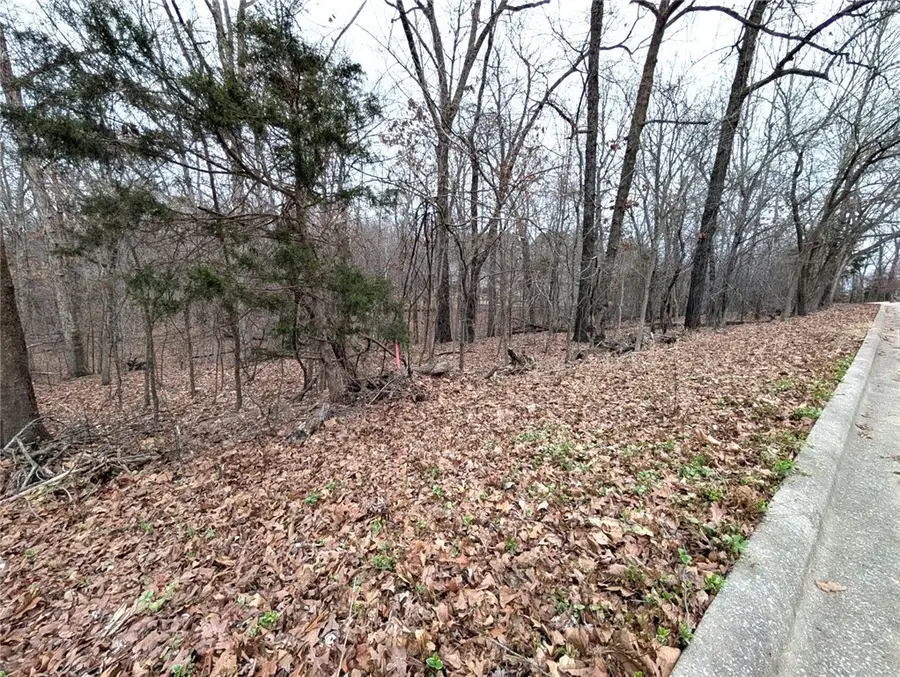 Lot 19 Morganshire Drive, Bella Vista, AR 72714 - #3