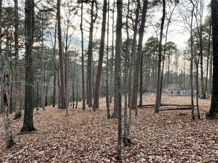 21885 Ridgeview Lane, Rogers, AR 72756 - #3