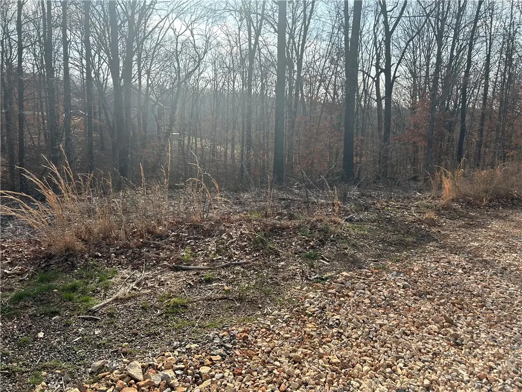 Dover Drive, Bella Vista, AR 72714 - #1