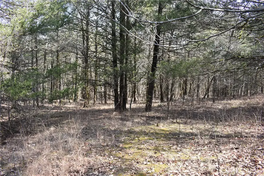 North Of Cr 1088, Mountain Home, AR 72653 - #2