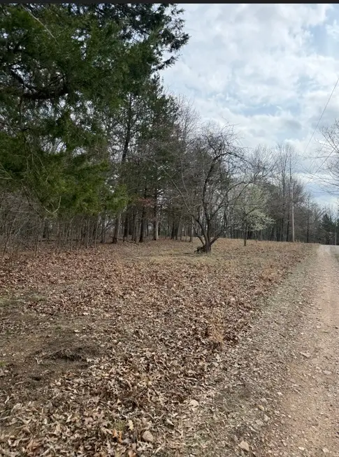 42 Douglas Cove, Lead Hill, AR 72644 - #2