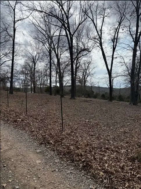 19501 Douglas Cove, Lead Hill, AR 72644 - #2