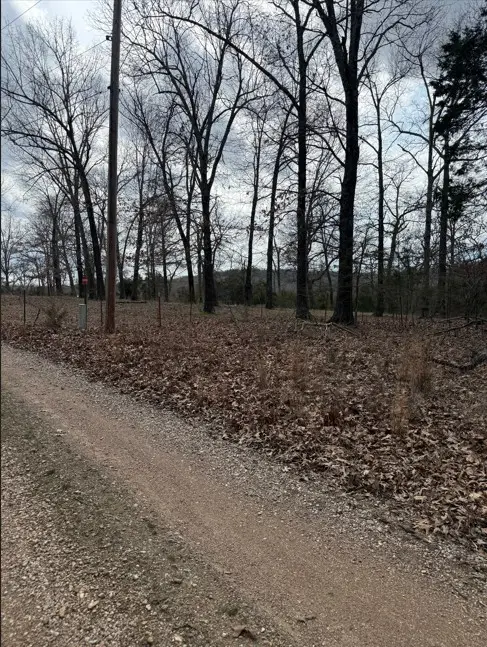 19501 Douglas Cove, Lead Hill, AR 72644 - #3