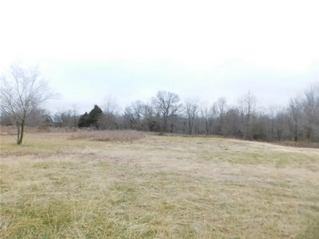 14593 It'll Do Road, Pea Ridge, AR 72751 - #1