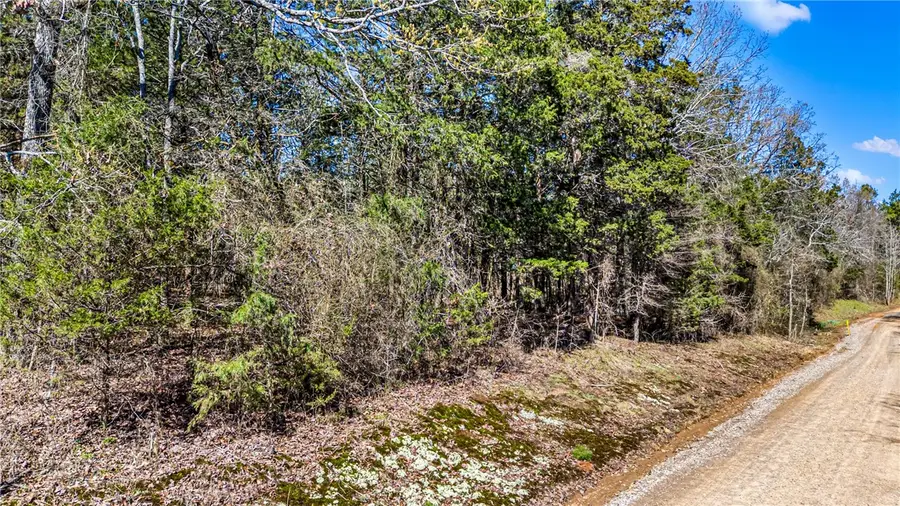 Riverside Road, Delaware, AR 72835 - #2