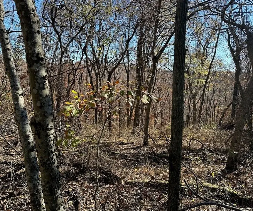 Aster Drive, Rogers, AR 72756 - #2