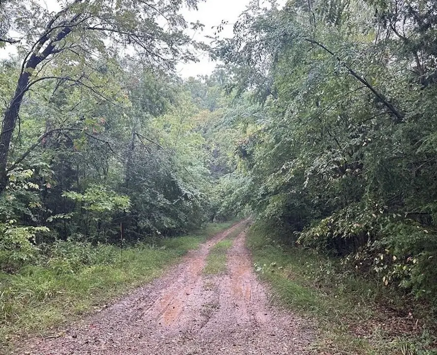 Aster Drive, Rogers, AR 72756 - #3