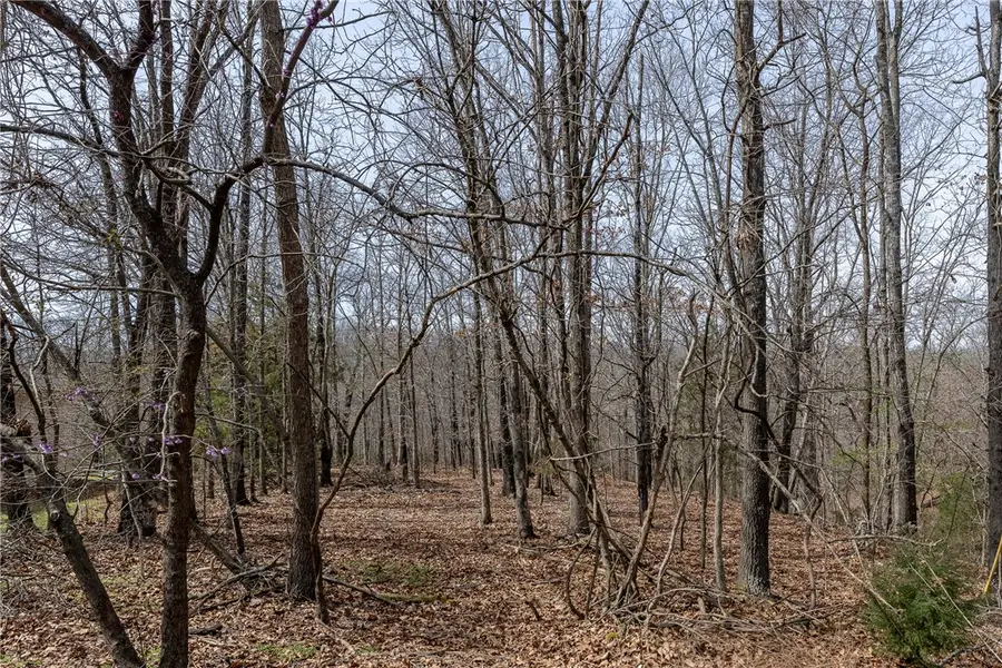 7 (Lot 3) Little Borough Lane, Bella Vista, AR 72715 - #2