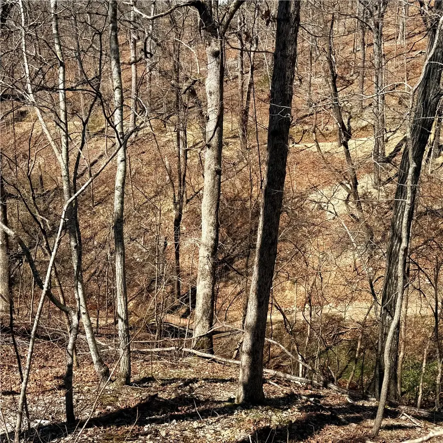 Lot 8 Sheffield Drive, Bella Vista, AR 72714 - #1