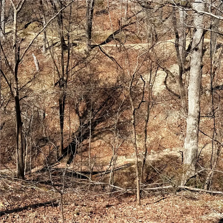 Lot 8 Sheffield Drive, Bella Vista, AR 72714 - #3