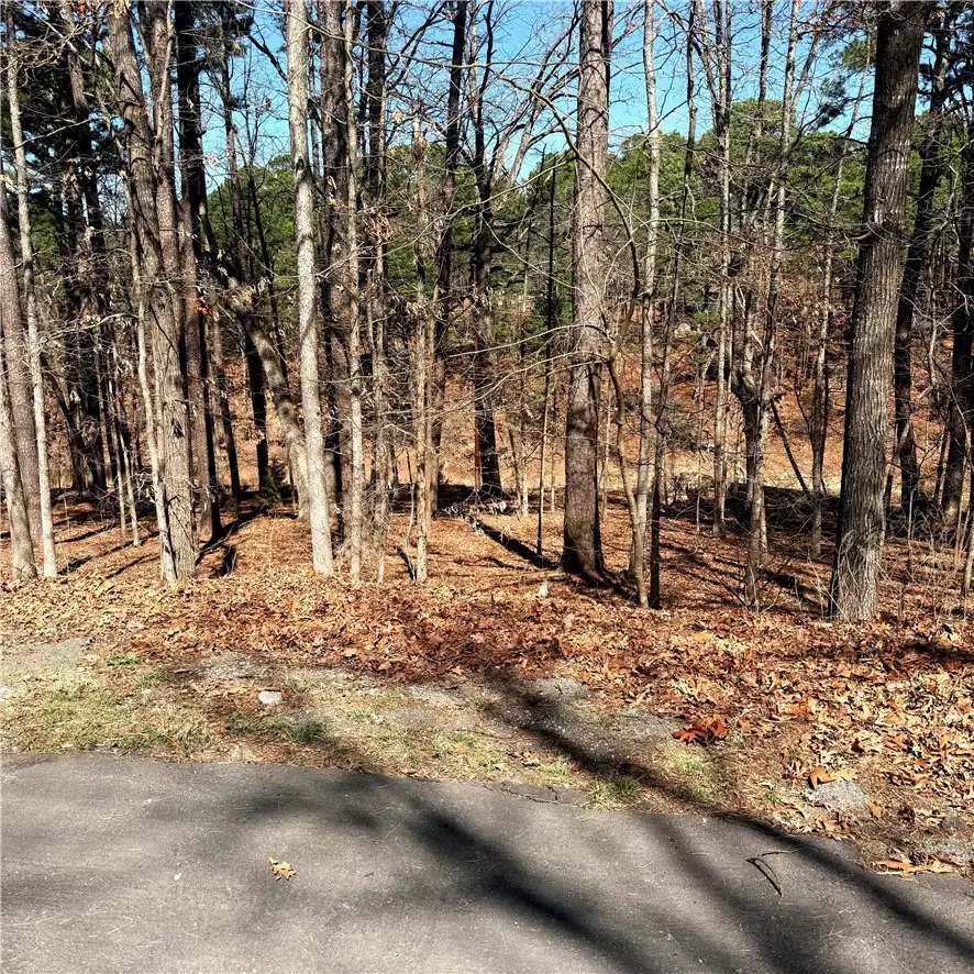 Lot 10 Wyman Lane, Bella Vista, AR 72714 - #1