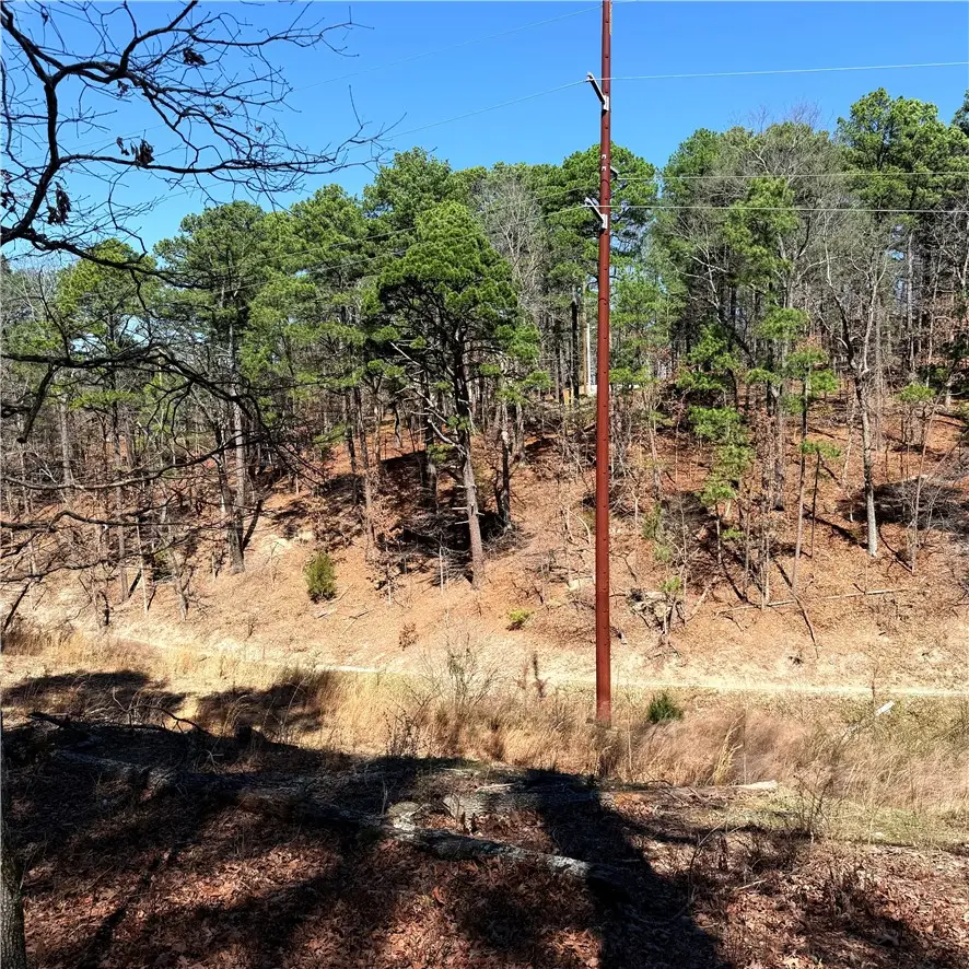Lot 10 Wyman Lane, Bella Vista, AR 72714 - #3