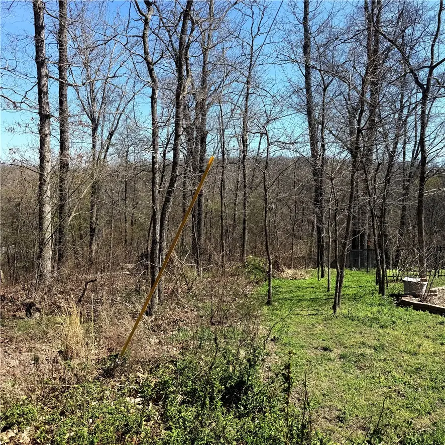 LOT 10 Kings Lynn Lane, Bella Vista, AR 72715 - #2