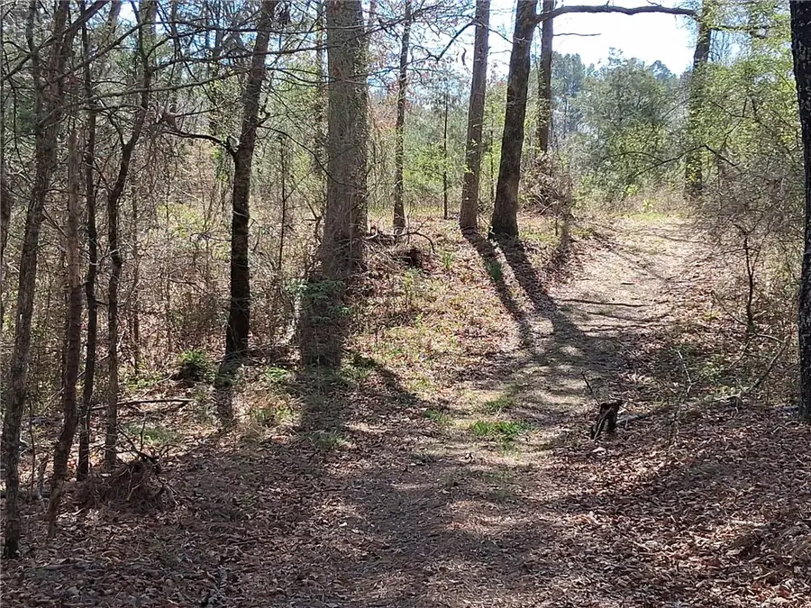 16327 Slade Road, Holland, AR 72122 - #3