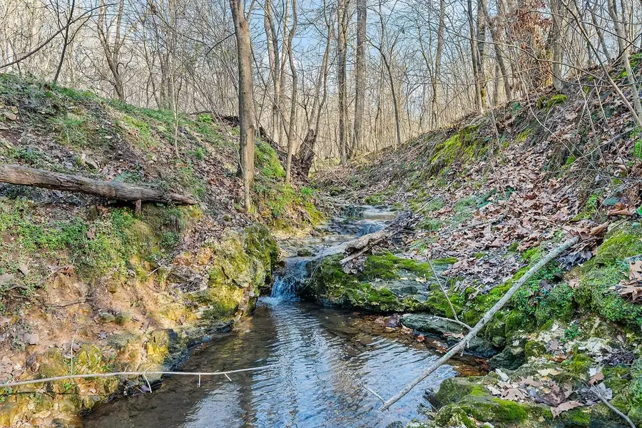 10288 Limekiln Road, Decatur, AR 72722 - #3