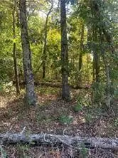 Letchworth Drive, Bella Vista, AR 72714