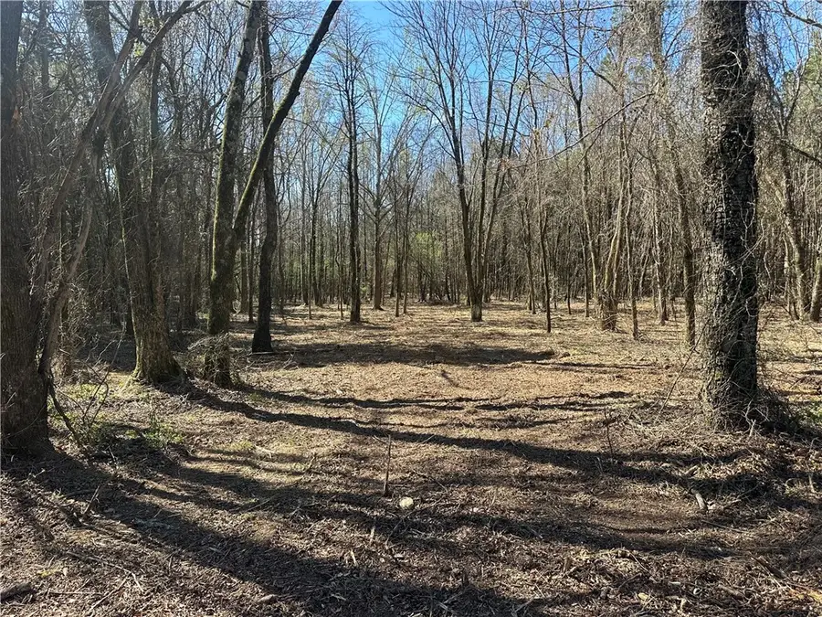 LOTS 80, 81 and 234 Cliff Road, Russellville, AR 72802 - #3