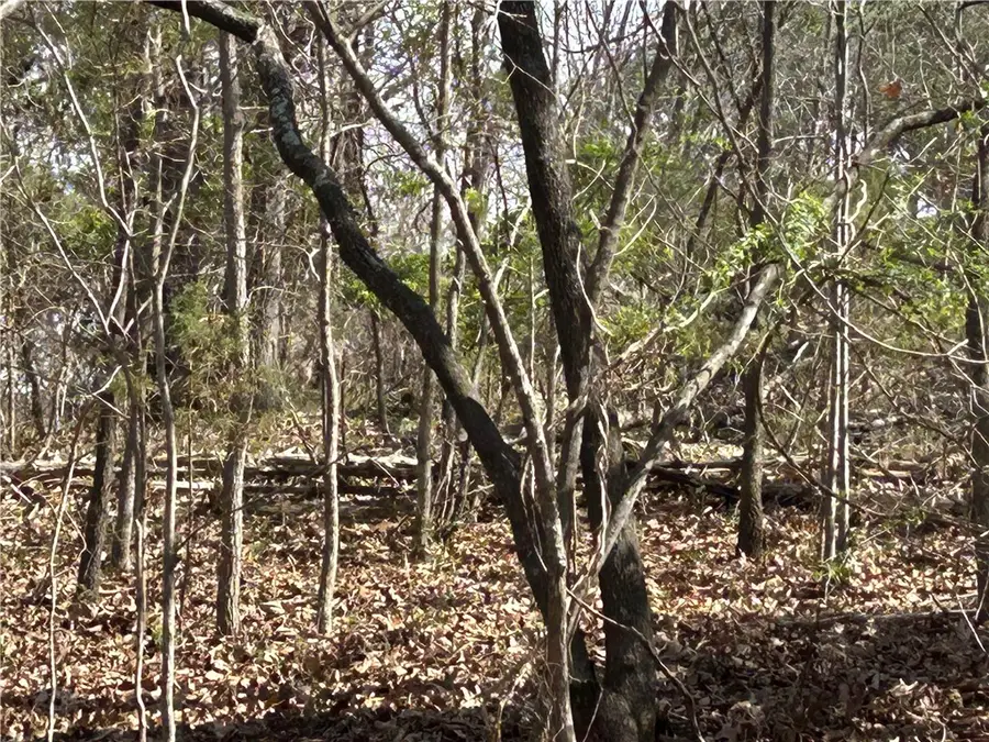 TBD Trammell Drive, Lowell, AR 72745 - #3