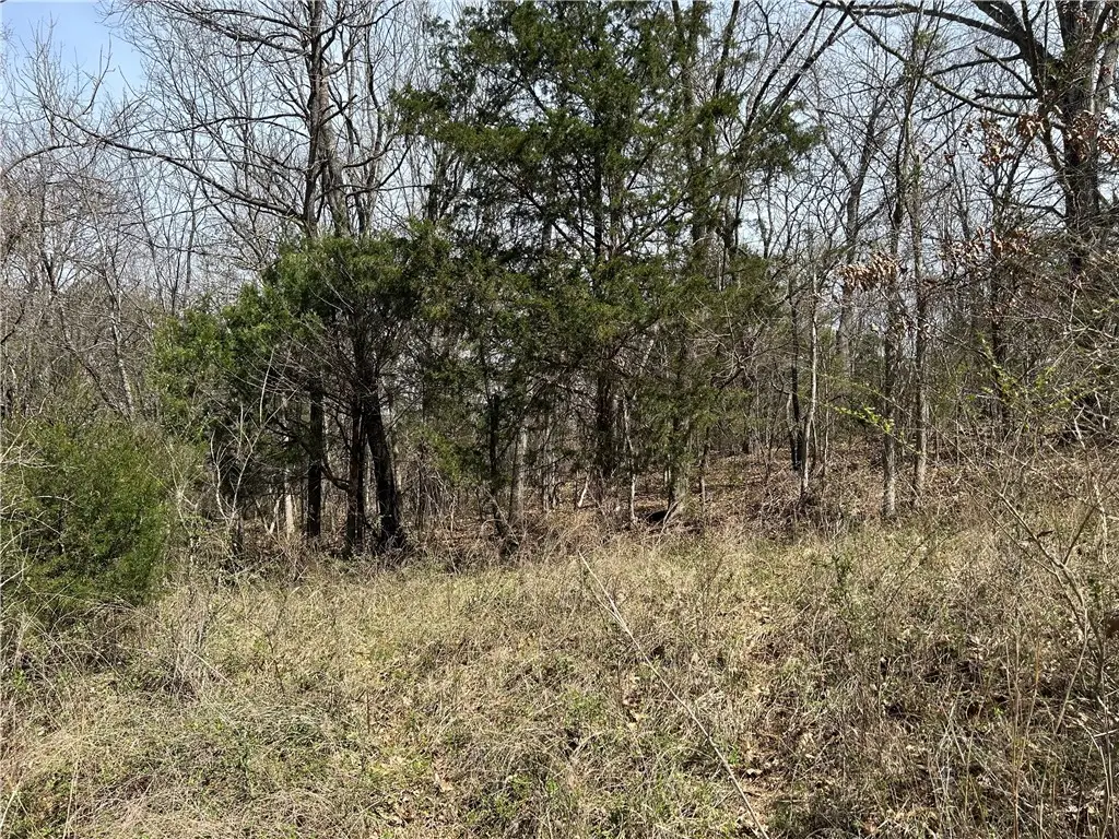 TBD Trammell (lot 8) Drive, Lowell, AR 72745 - #1