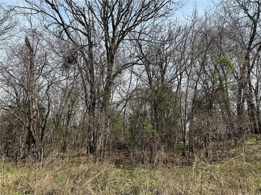 TBD Trammell (lot 8) Drive, Lowell, AR 72745 - #2