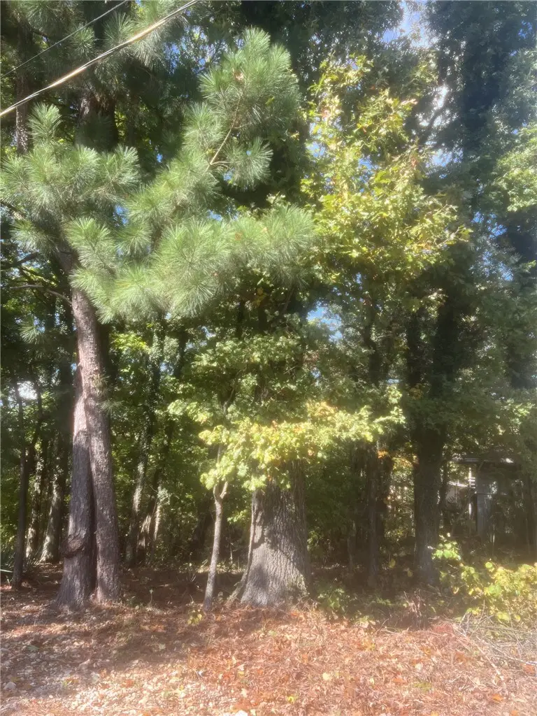 Ulverston Drive, Bella Vista, AR 72714 - #1