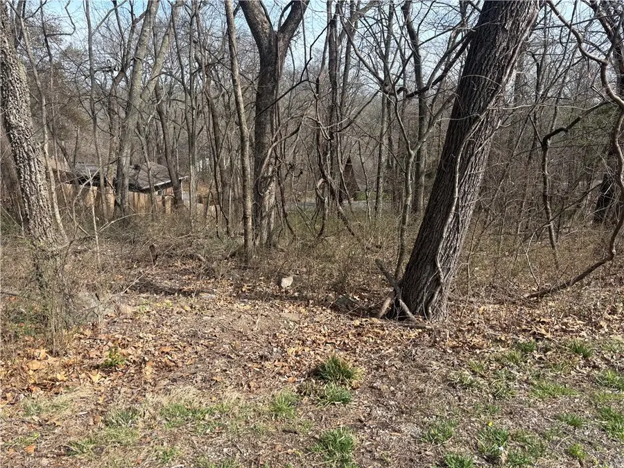 Bosworth Circle, Bella Vista, AR 72714 - #2